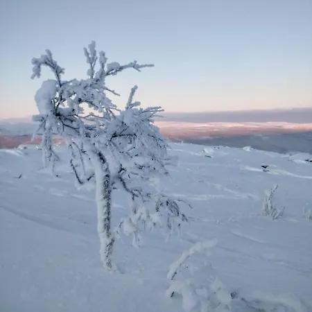 Aurora Holidays Alpesi faház Utsjoki